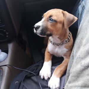 Meet your Posher, Bradley